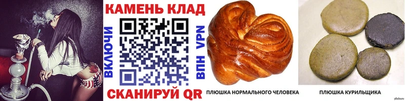 где продают   Железногорск  ГАШИШ Premium 