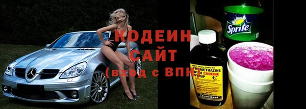 СК Пересвет