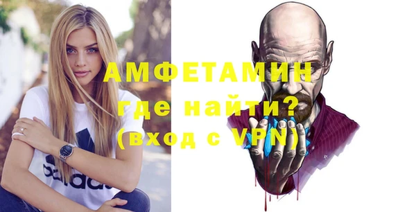СК Пересвет