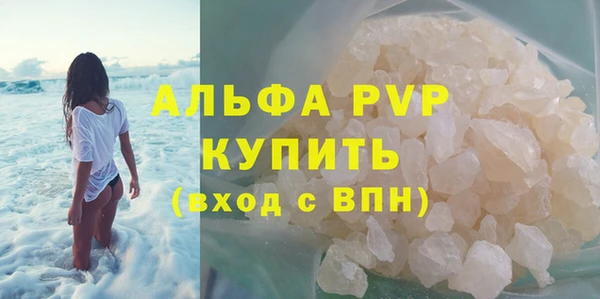 СК Пересвет