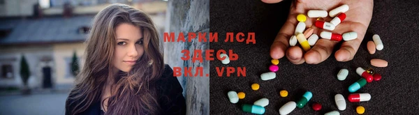 ПСИЛОЦИБИНОВЫЕ ГРИБЫ Переславль-Залесский