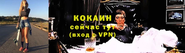 СК Пересвет