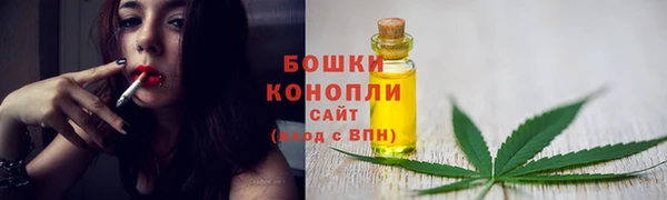 ПСИЛОЦИБИНОВЫЕ ГРИБЫ Переславль-Залесский