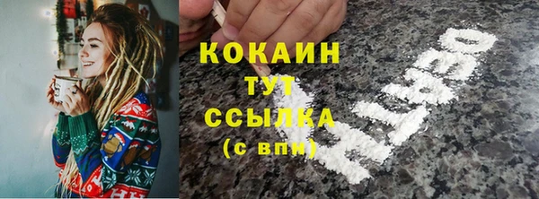ПСИЛОЦИБИНОВЫЕ ГРИБЫ Переславль-Залесский