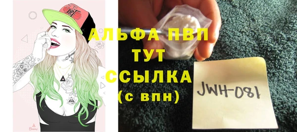 СК Пересвет