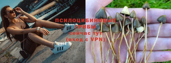 гидра Пестово