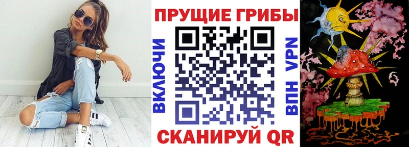 Галлюциногенные грибы GOLDEN TEACHER  купить наркотики цена  Железногорск 