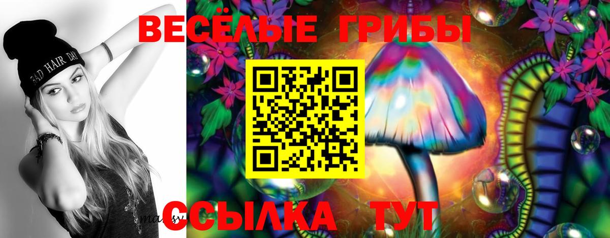 Псилоцибиновые грибы Psilocybe Железногорск