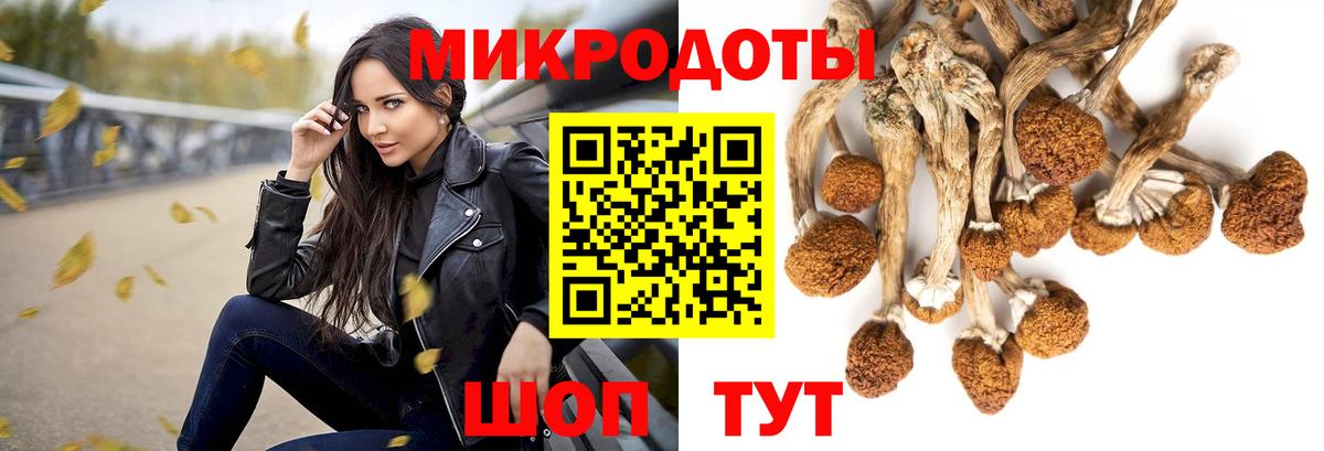 Железногорск  Псилоцибиновые грибы мухоморы  Псилоцибиновые грибы мухоморы  Вход с VPN 